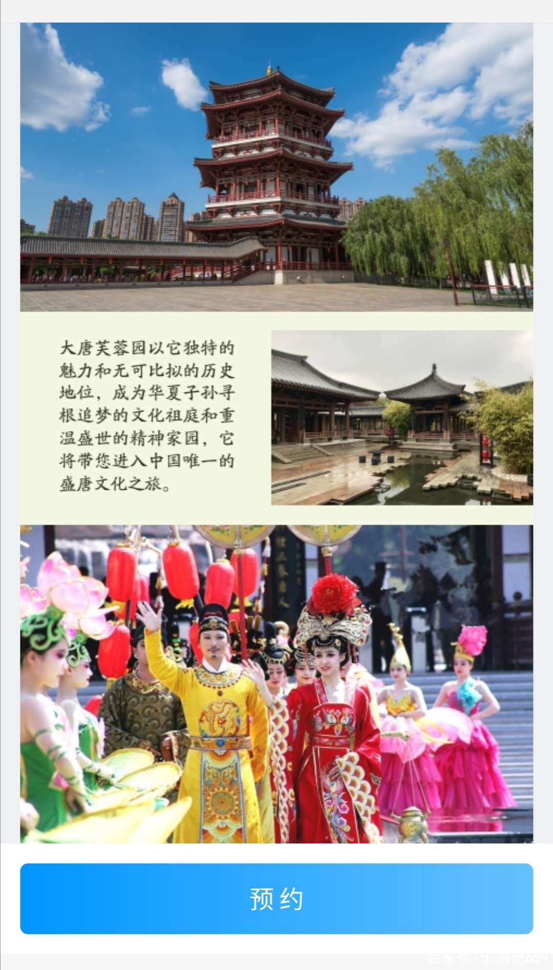 5000張:西安大唐芙蓉園免費門票,預約參觀剛開始