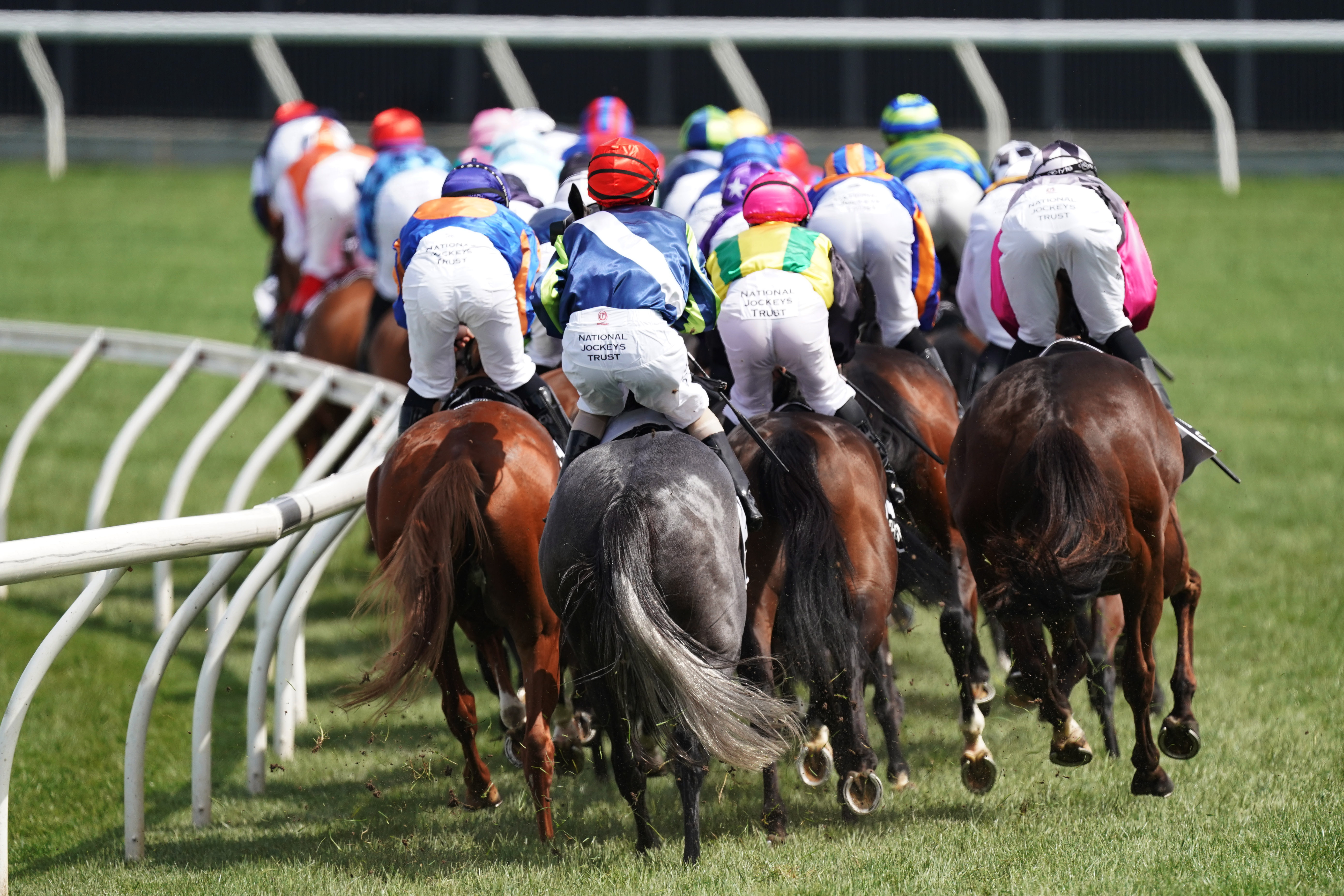 赛马——墨尔本杯:澳大利亚骑手夺冠(3)