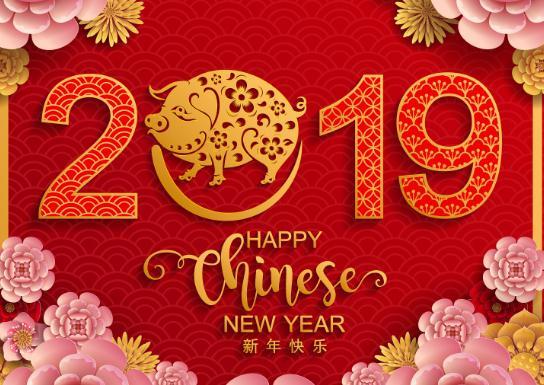 你好,猪年!愿你许下的愿望都成真,付出的努力都有回报