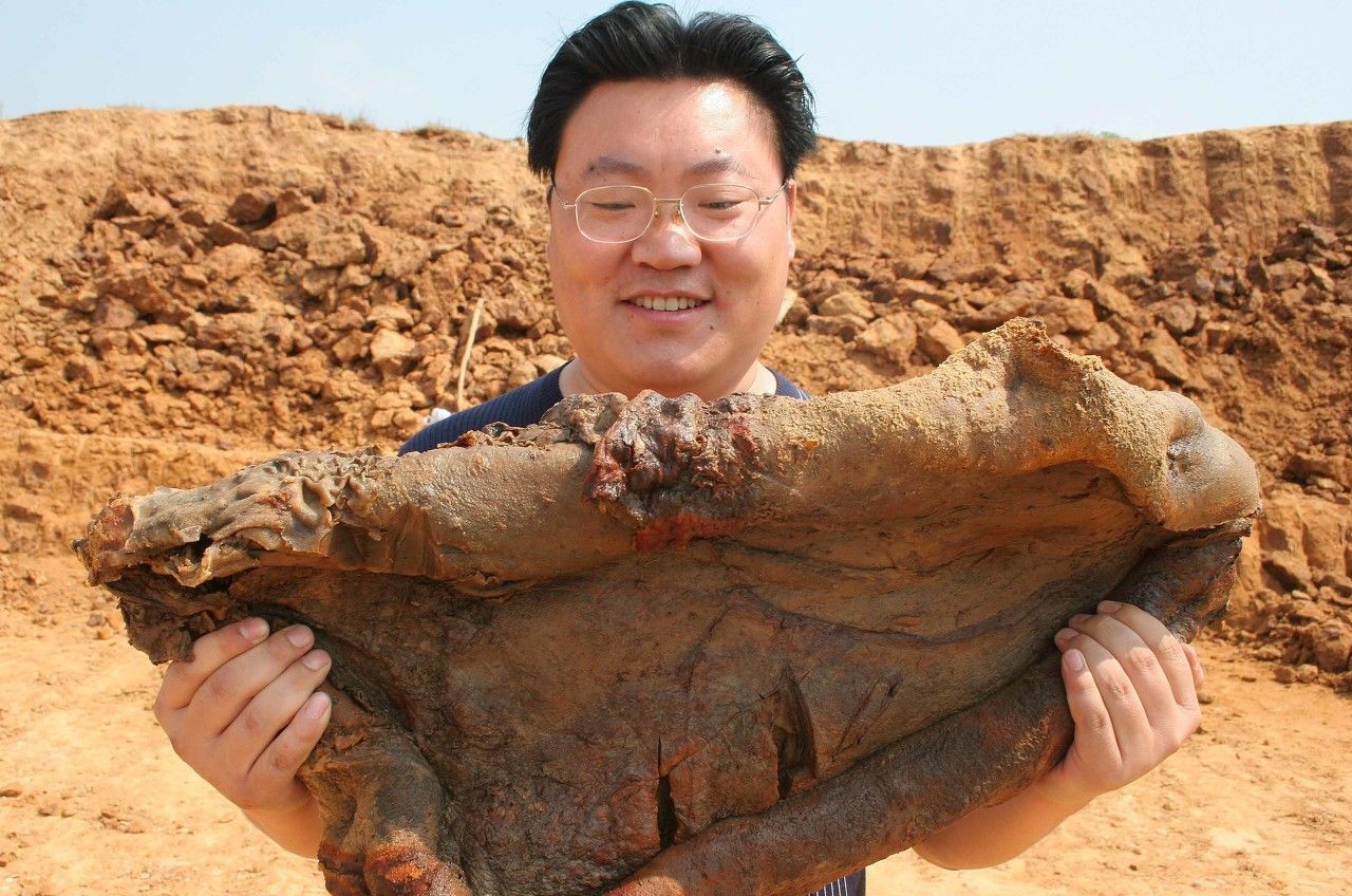 "太岁"到底是什么东西?是动物还是植物,答案很多人想不到