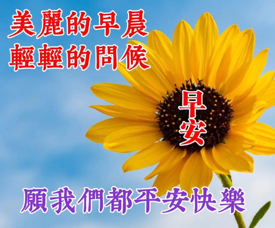 朋友圈很火的早安祝福图片,阳光心态早上好问候句子
