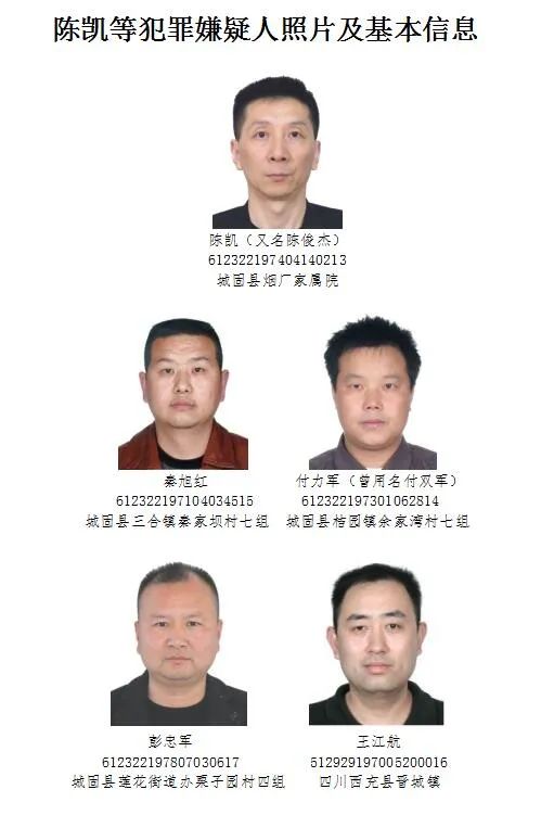 最高奖5000元,城固征集陈凯黑社会性质组织成员财产线索