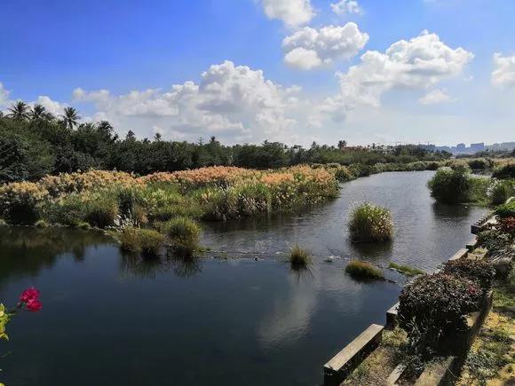 四,鄉村騎行黎家風情--嗨騎小院&南海城葡萄園&夢裡黎鄉農家樂