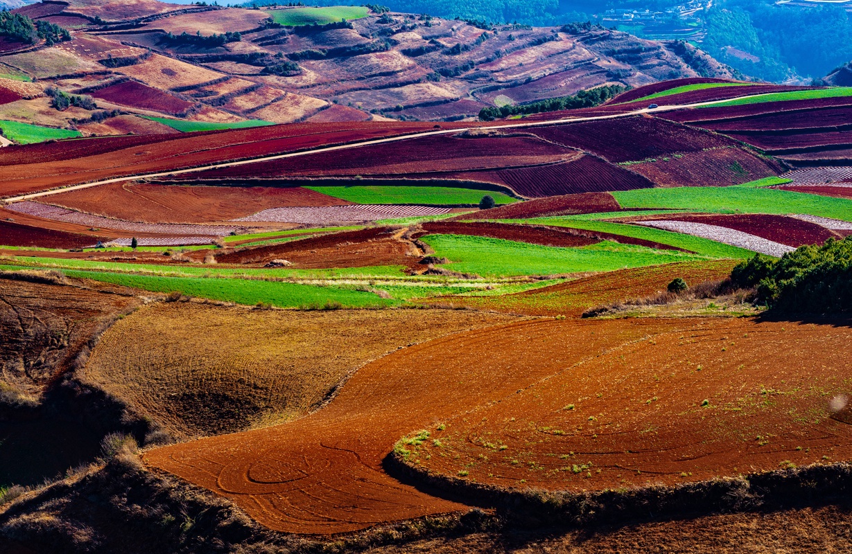 多彩的土地,颜色层次分明
