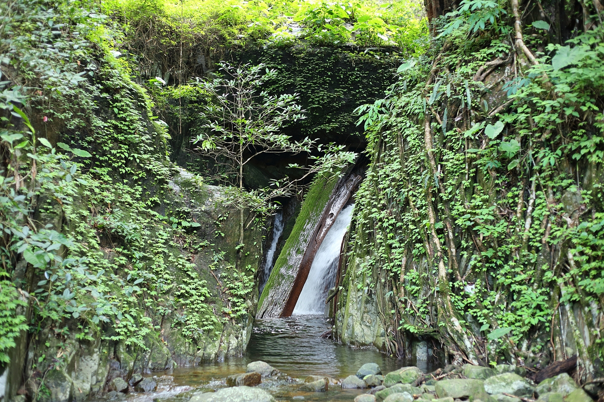 溪口风景区旅游攻略  溪口风景区,坐落于宁波市西南的奉化溪口镇,是一