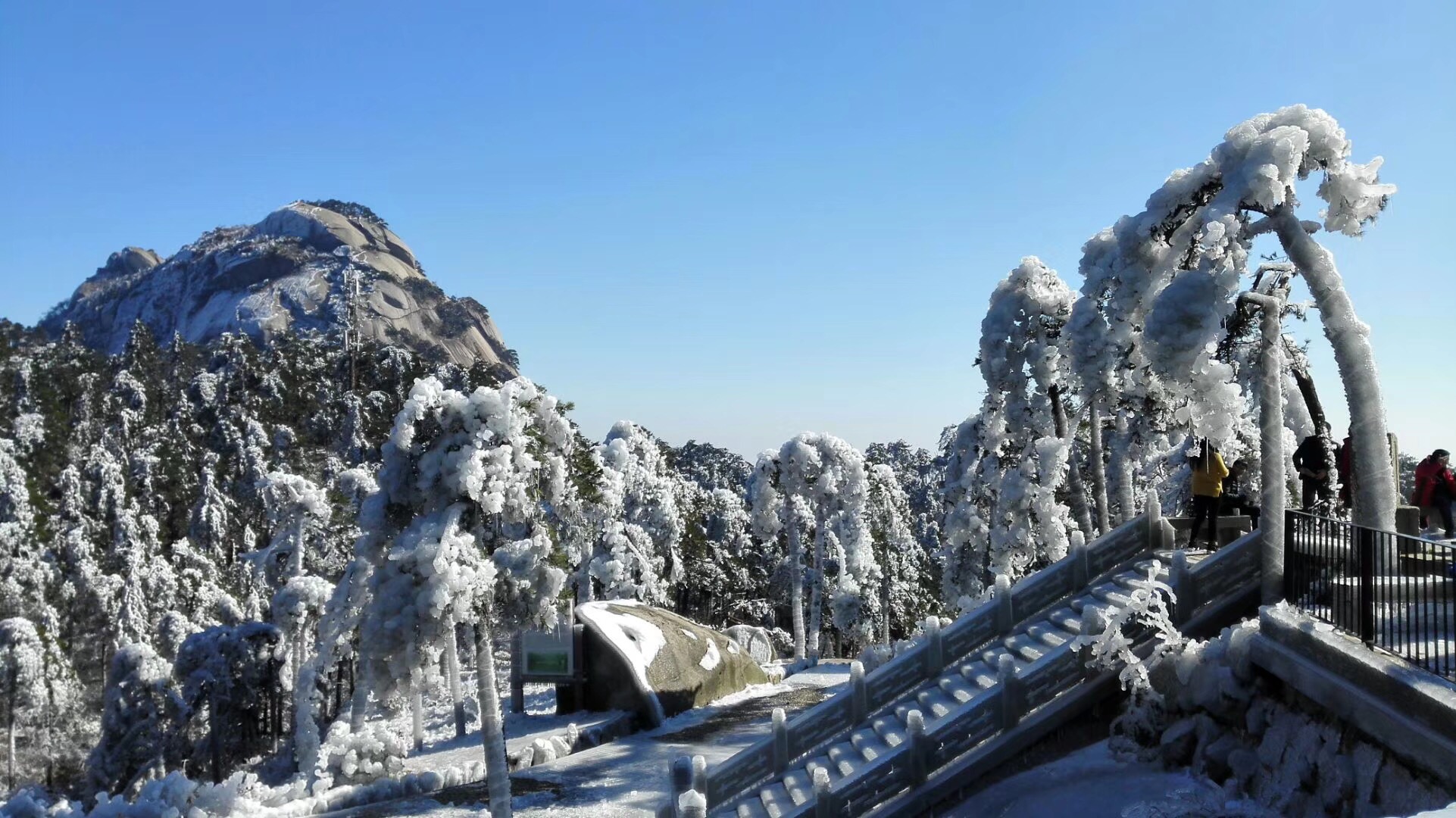 雪景天柱山:千峰笋石千株玉,万树松罗万朵云