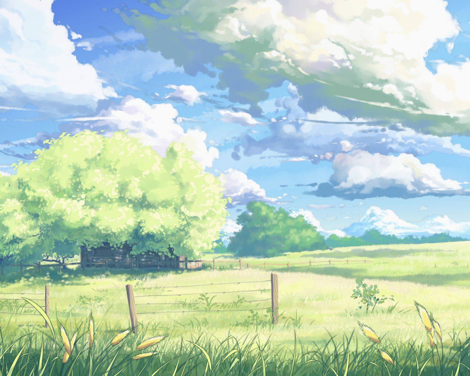 唯美二次元动漫插画场景,清新全屏美景,漫画意境壁纸图片