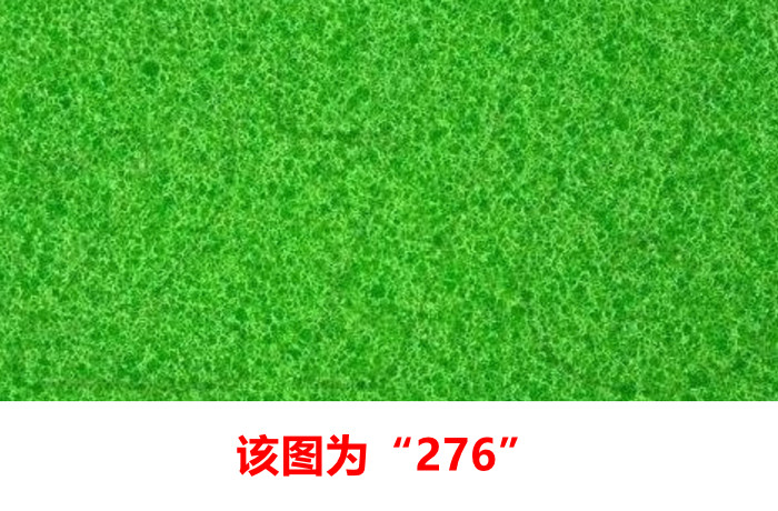 5张顶级色盲测试图:一般人只能看到2张,全部看懂敬你是个大神