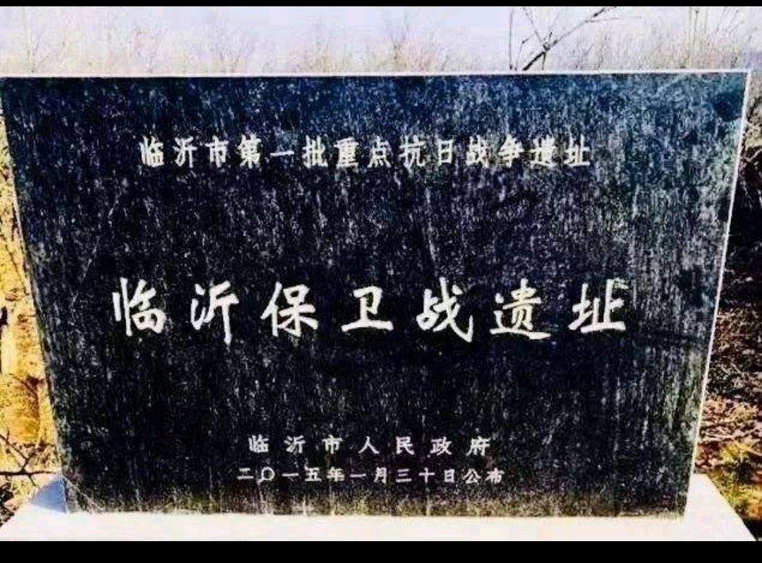 临沂保卫战之:临沂大捷