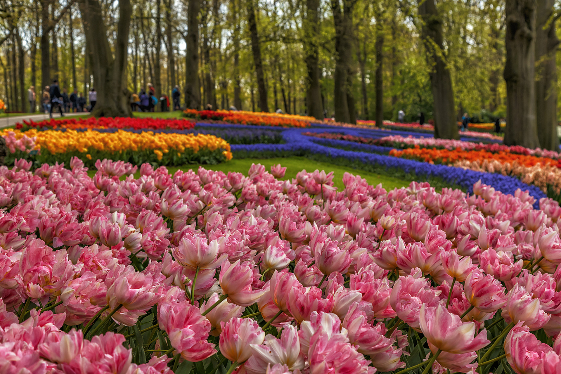 镜头里的春天# 春季旅游长春植物园内不仅有着丰富的植物资源,还帐揪