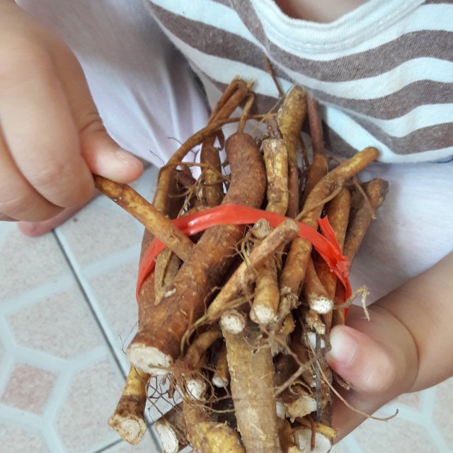 五指牛奶排骨汤,鲜美好喝不腻,连着喝了2碗