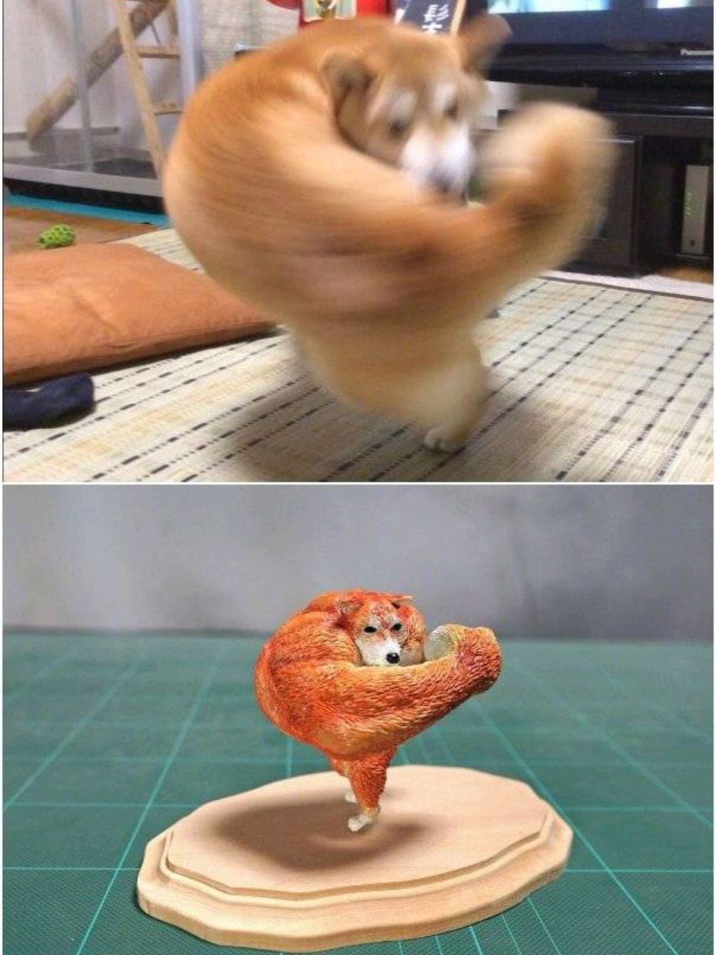 超搞笑的"沙雕"动物手办,这也太可爱了吧!