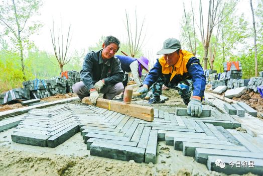 姥桥镇继续加大美丽乡村创建力度