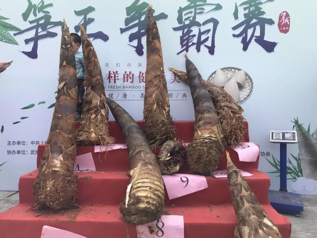 评笋王,尝笋宴,赏竹工艺品……上梅乡这场活动好热闹