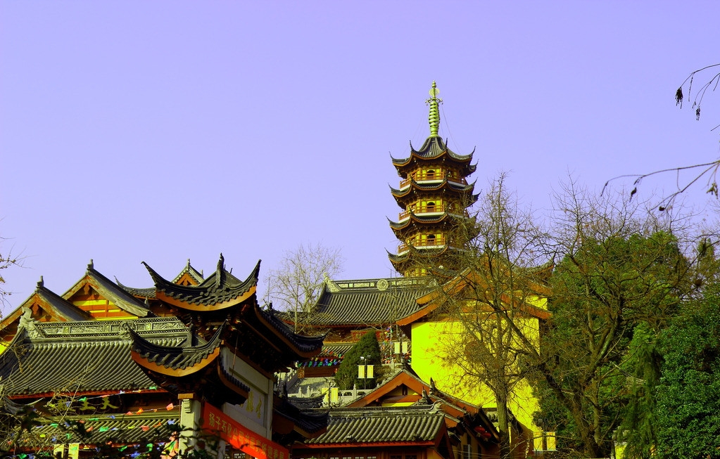 还记得那年开满樱花的鸡鸣寺吗?带到春暖花开我们相约南京吧