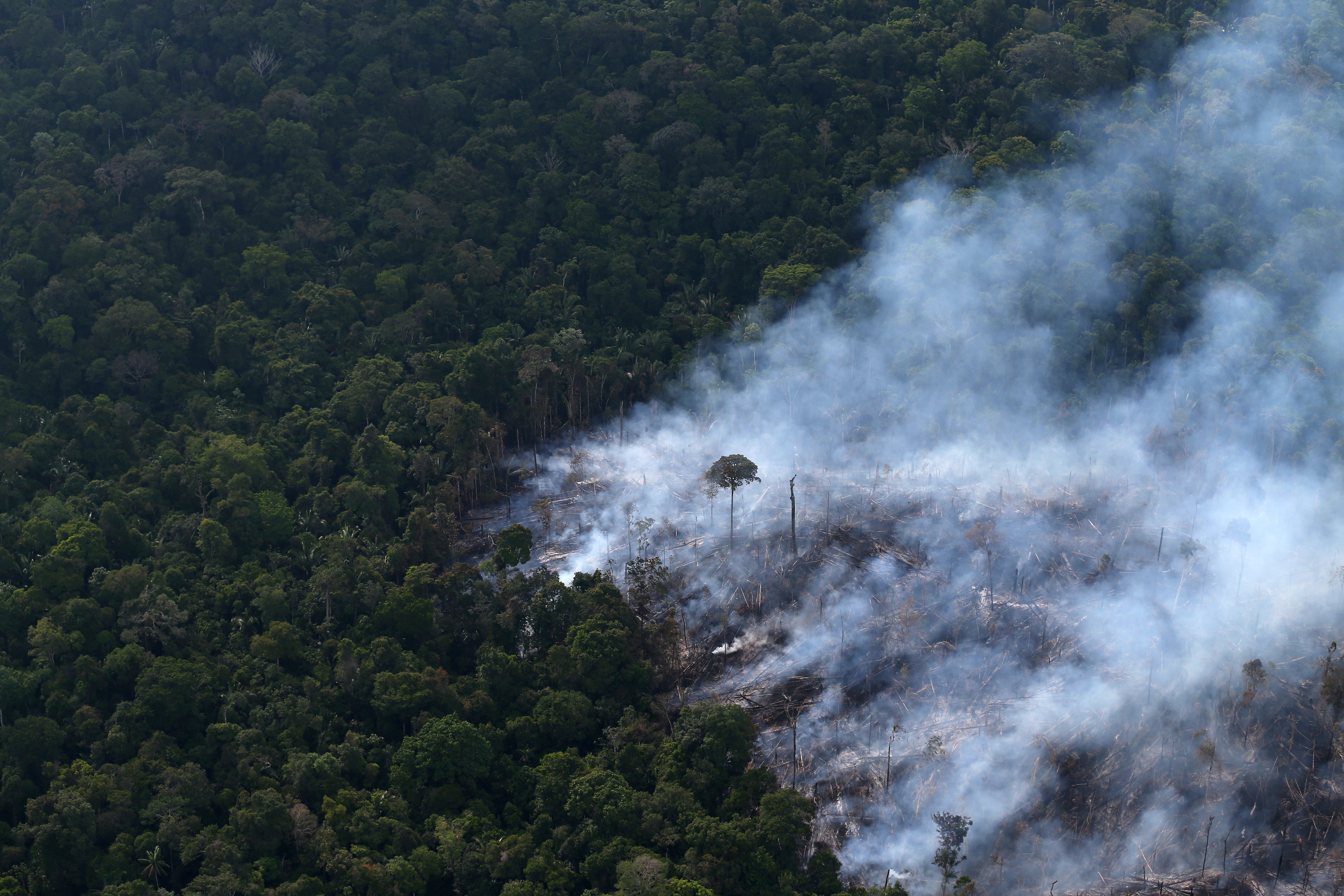 航拍亚马孙雨林火灾区域(1)