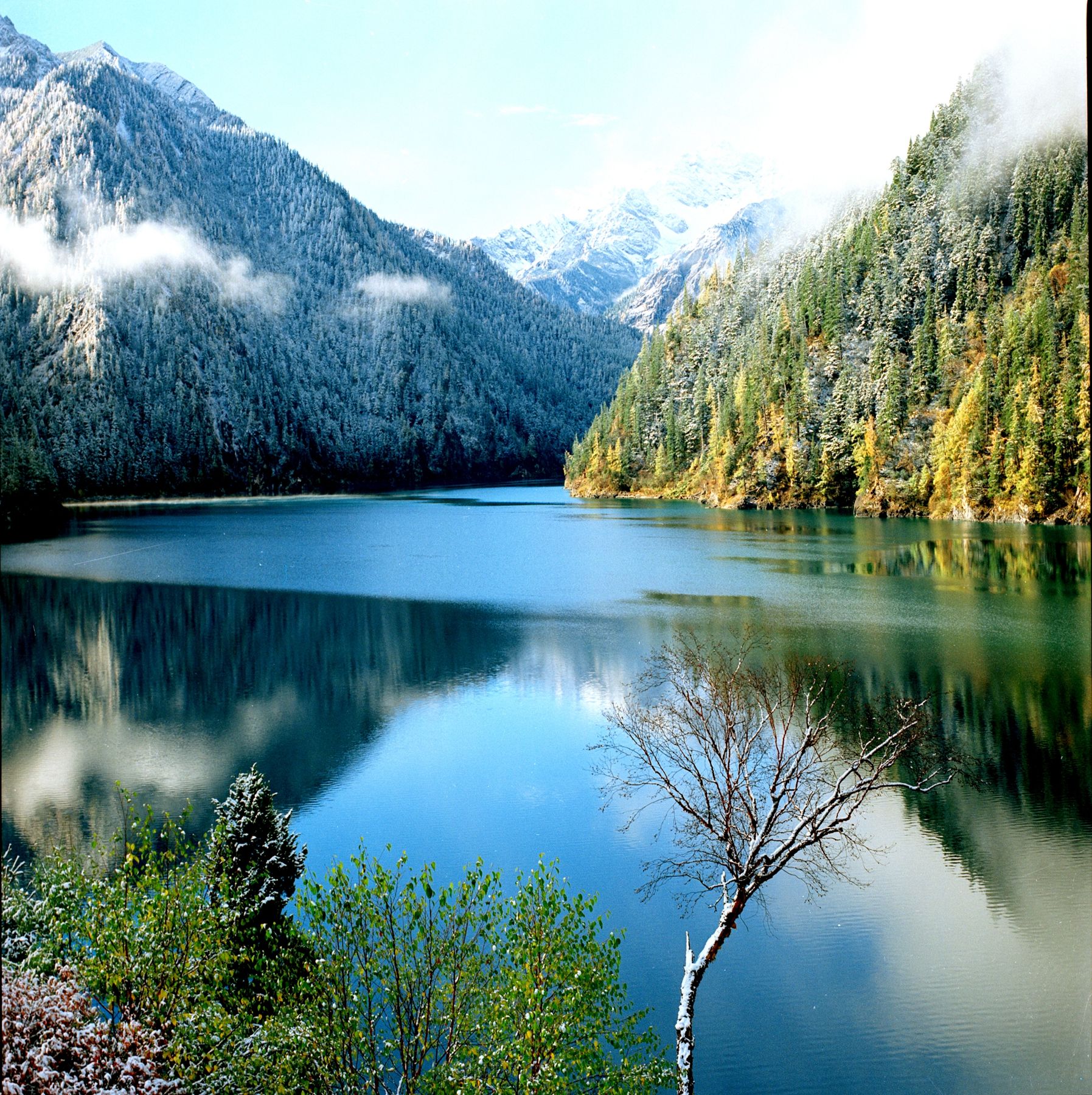 四川魅力仙境九寨沟,经历过地震却依旧令人向往,美得过于成熟!