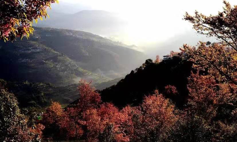 天龙八部大理无量山图片