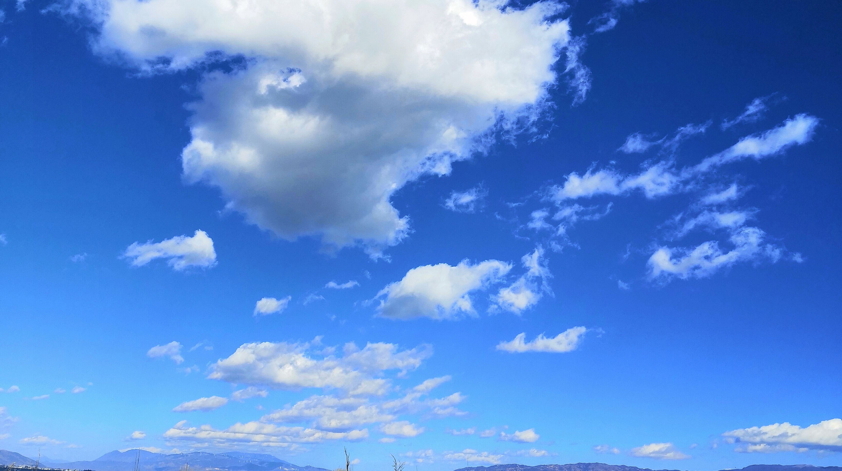 云南美美的照片分享给大家