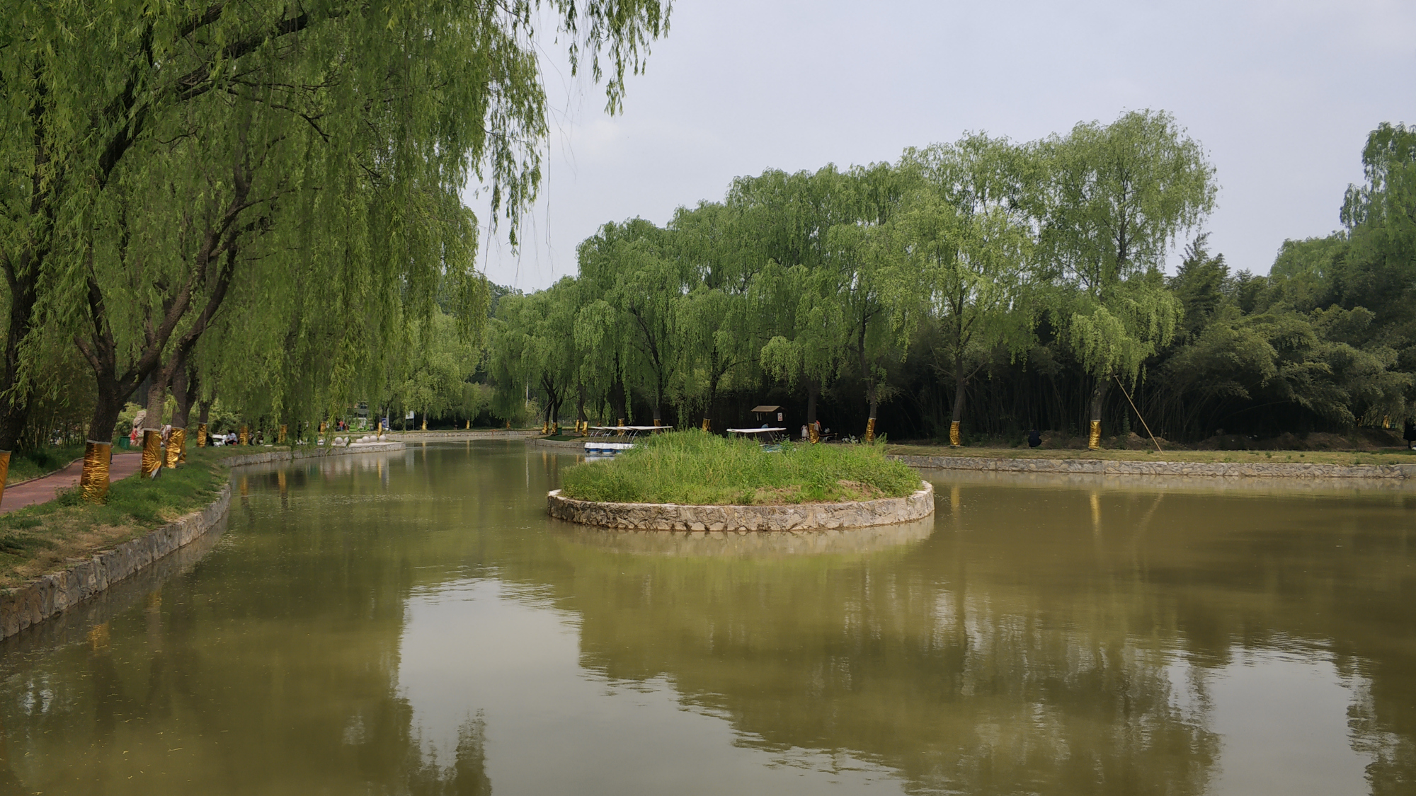 商丘森林公园里这个景点,游客体验不好,网友:名不副实,面积小