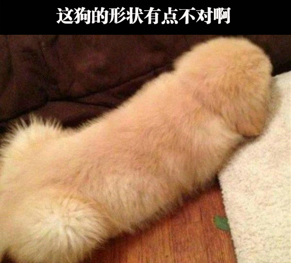 搞笑gif:这关系太乱了,到底谁是谁的前男友?