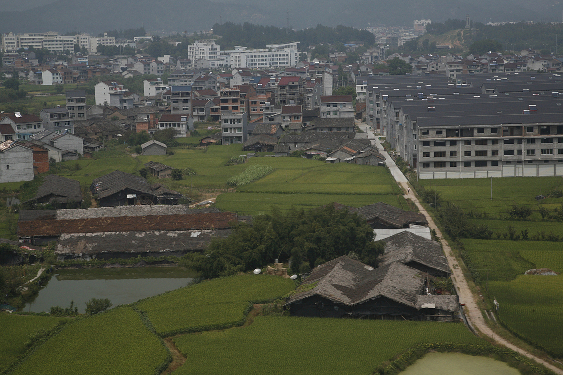 瑞安南滨街道图片