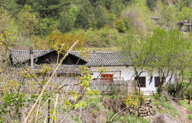 秦岭深山老宅|老宅是一户人家的全部,一栋房子就是一个故事