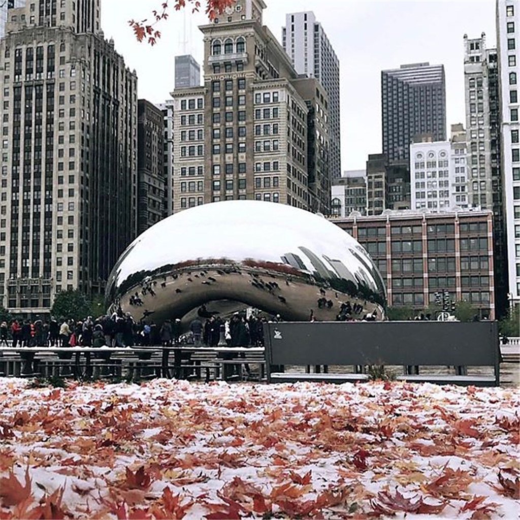 这里是有"第二城","风城"之称的芝加哥