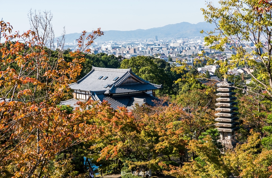 到日本著名寺庙赏秋,却发现中国人比日本人还多!