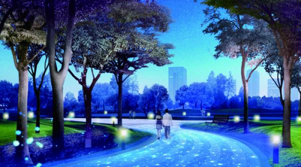 集美北部新城新公园年内开放 建设地下2层停车场