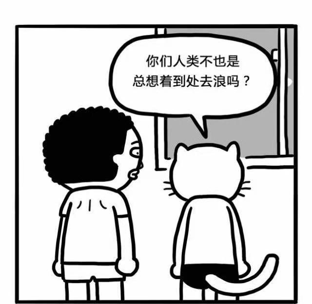 猫咪一辈子不出门会怎样?