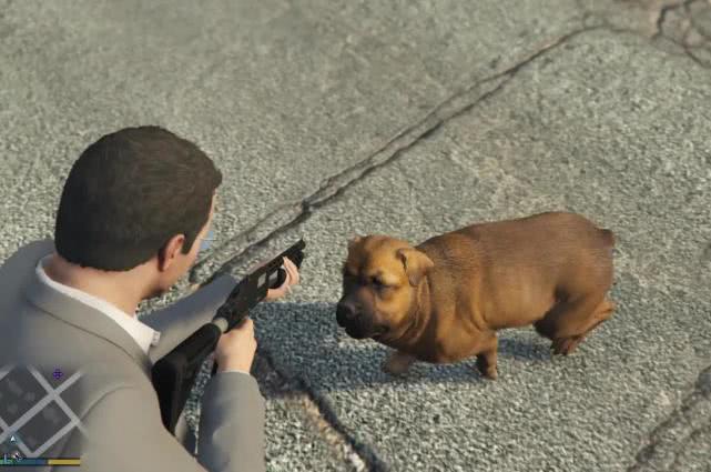 在《gta5》中遇到一条狗会怎样?千万别招惹,否则会被带走!