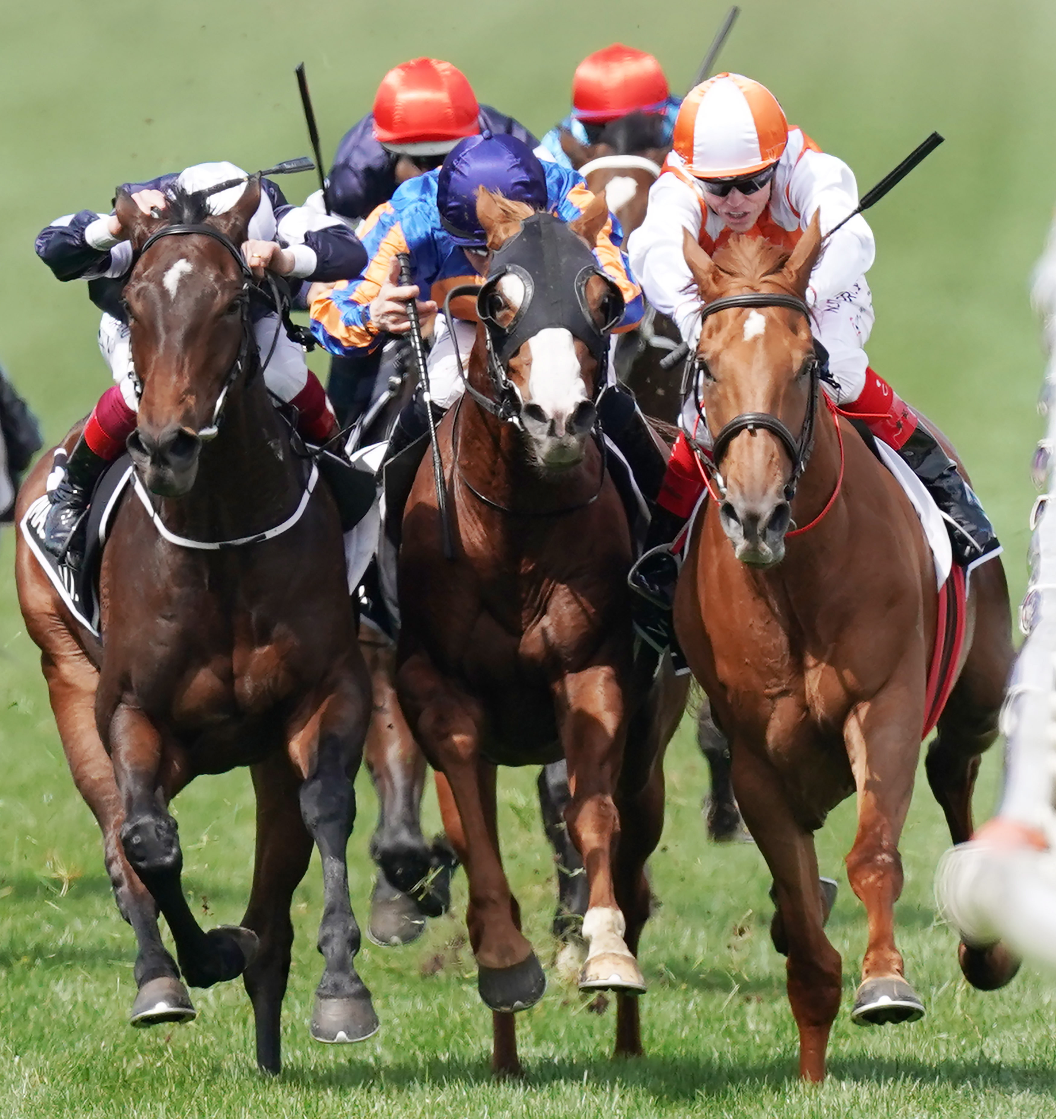 赛马——墨尔本杯:澳大利亚骑手夺冠(3)