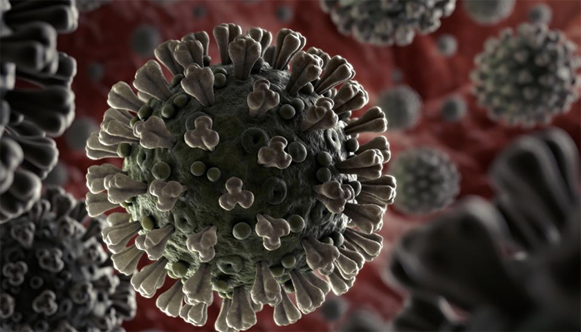 多国发现新冠病毒突变点,正在研发的疫苗还管用吗?