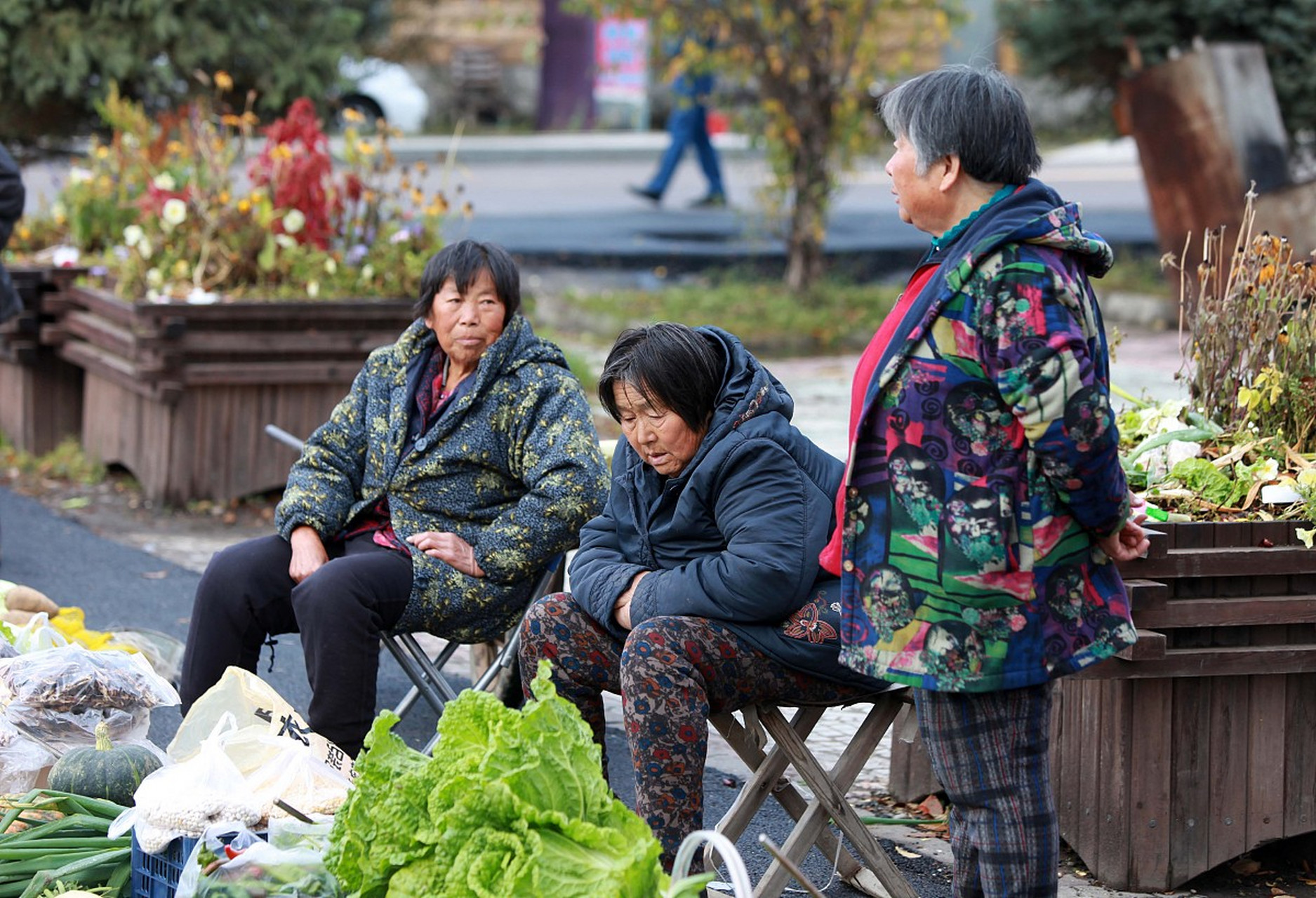 卖菜老人,是城市里一道熟悉的风景线,他们身穿旧衣,背着竹篮,推着破旧