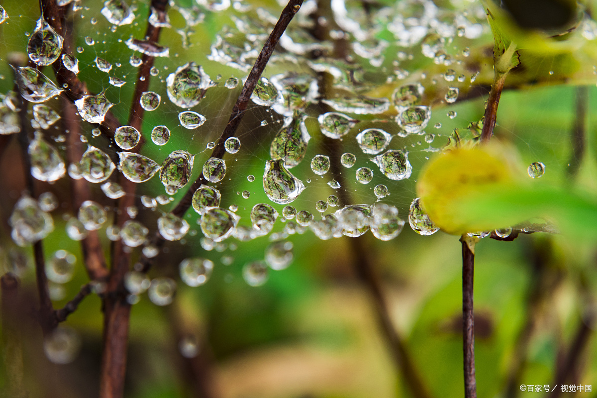 五月十三磨刀雨,六月六日曬龍衣,關公磨刀雨到底是怎麼來的?