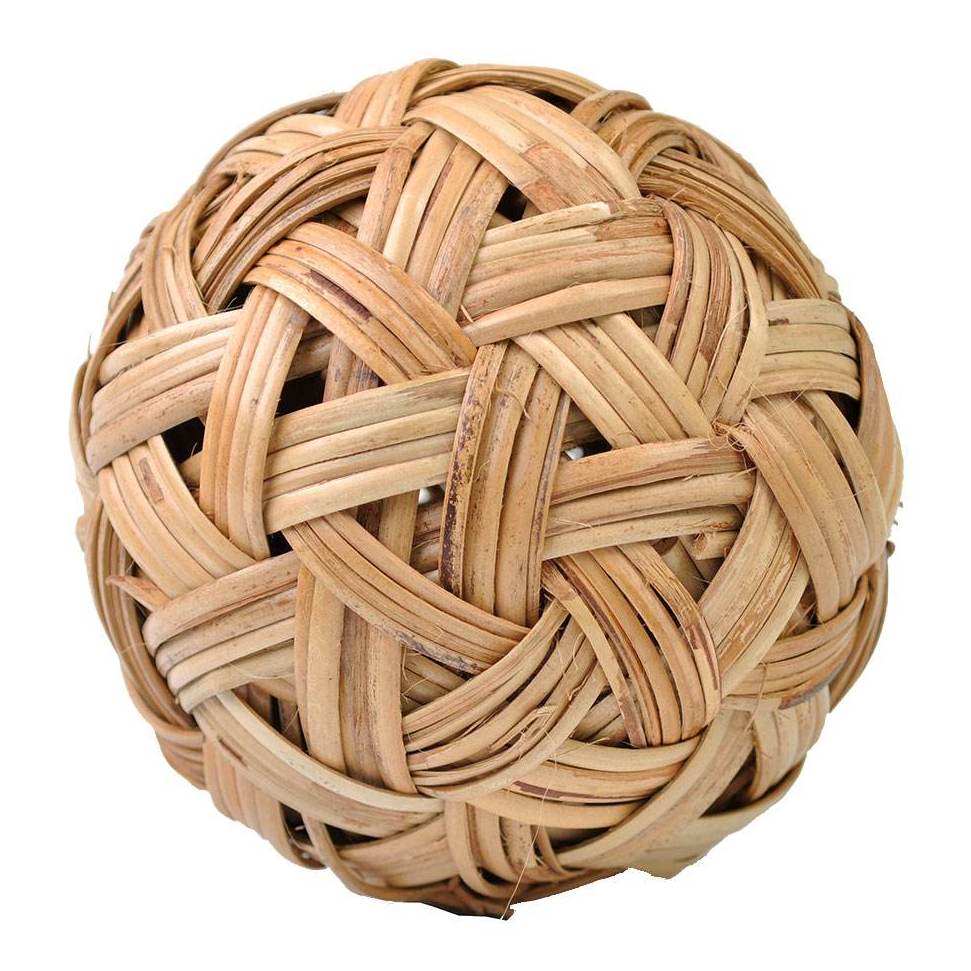 西班牙人24号,从国内踢到国外的球星,你们了解