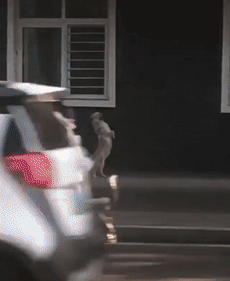  全球疫情动态实时更新情况查询(全球海外疫情最新数据)