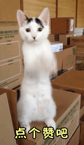 2018年娱乐大事件盘点之青春已逝