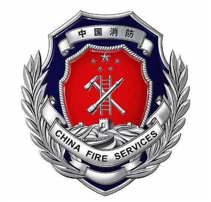 武警消防部队胸标图片
