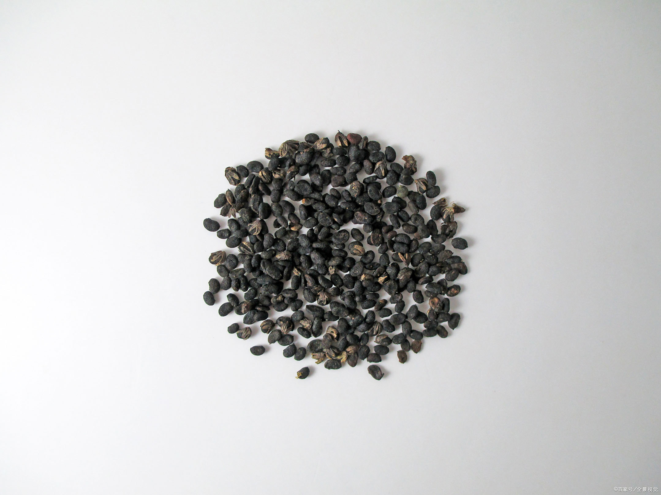 补骨脂有这些功效作用,爱养生之人看过来,尤其是患有白癜风之人