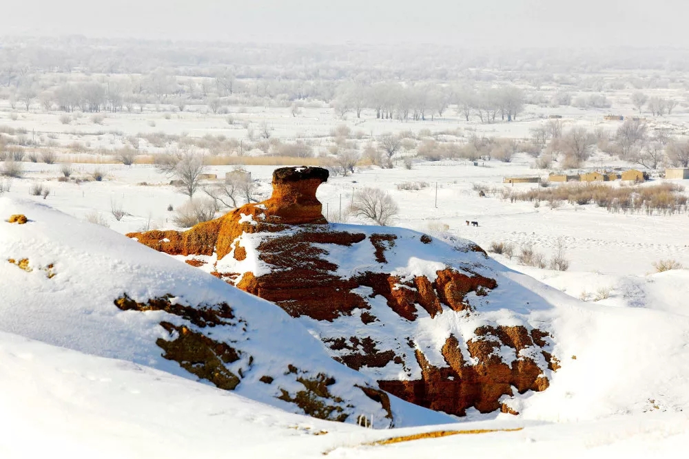 杜热雅丹 瑰丽多彩