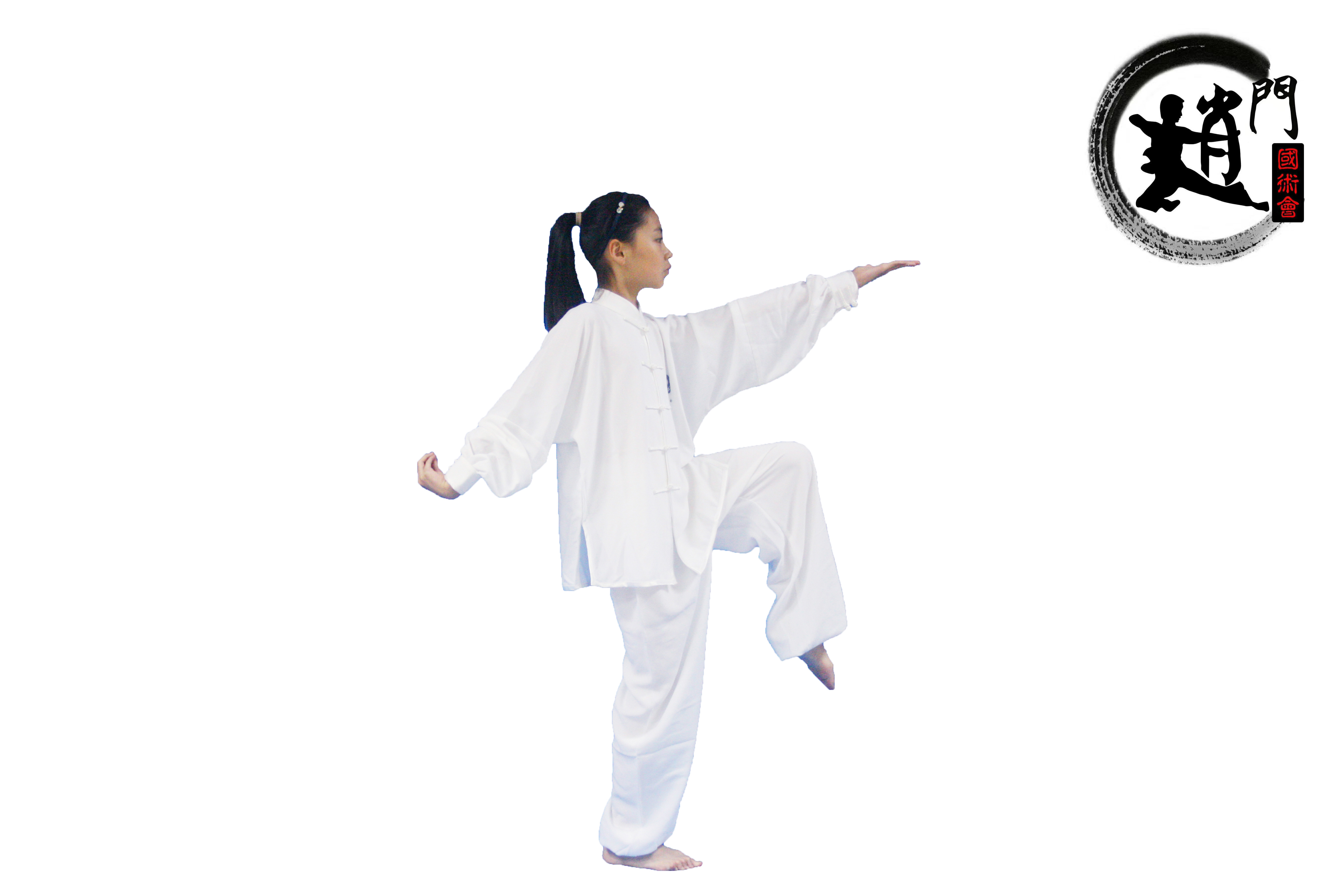 通背拳术阳手七十二散手 体用合一之大成的旷世绝技 通背拳(二)