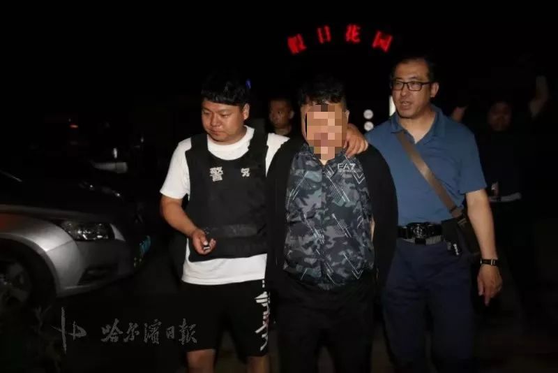 蹲下别动,双手抱头……"11个抓捕组半夜抓了700多人,60个窝点里猫的都
