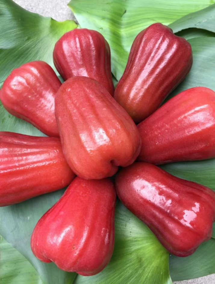 补水神器-越南莲雾