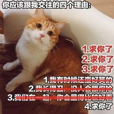 逗女生的表情包 幽默图片