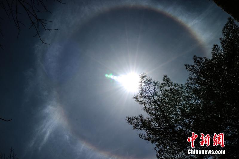 一彩色光晕环绕太阳周围. 李金刚 摄