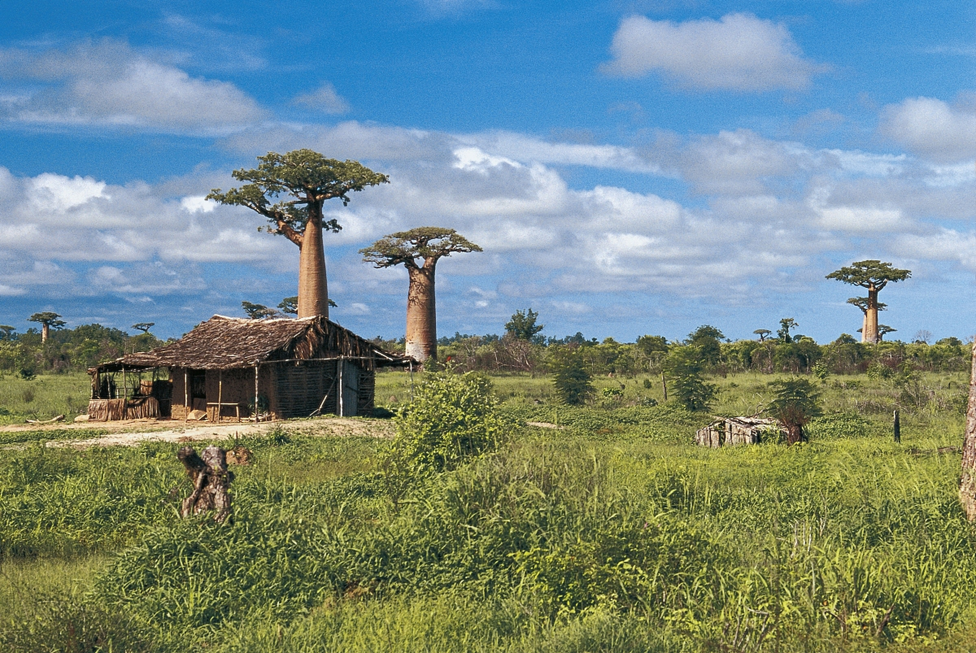     ——一念行者语录