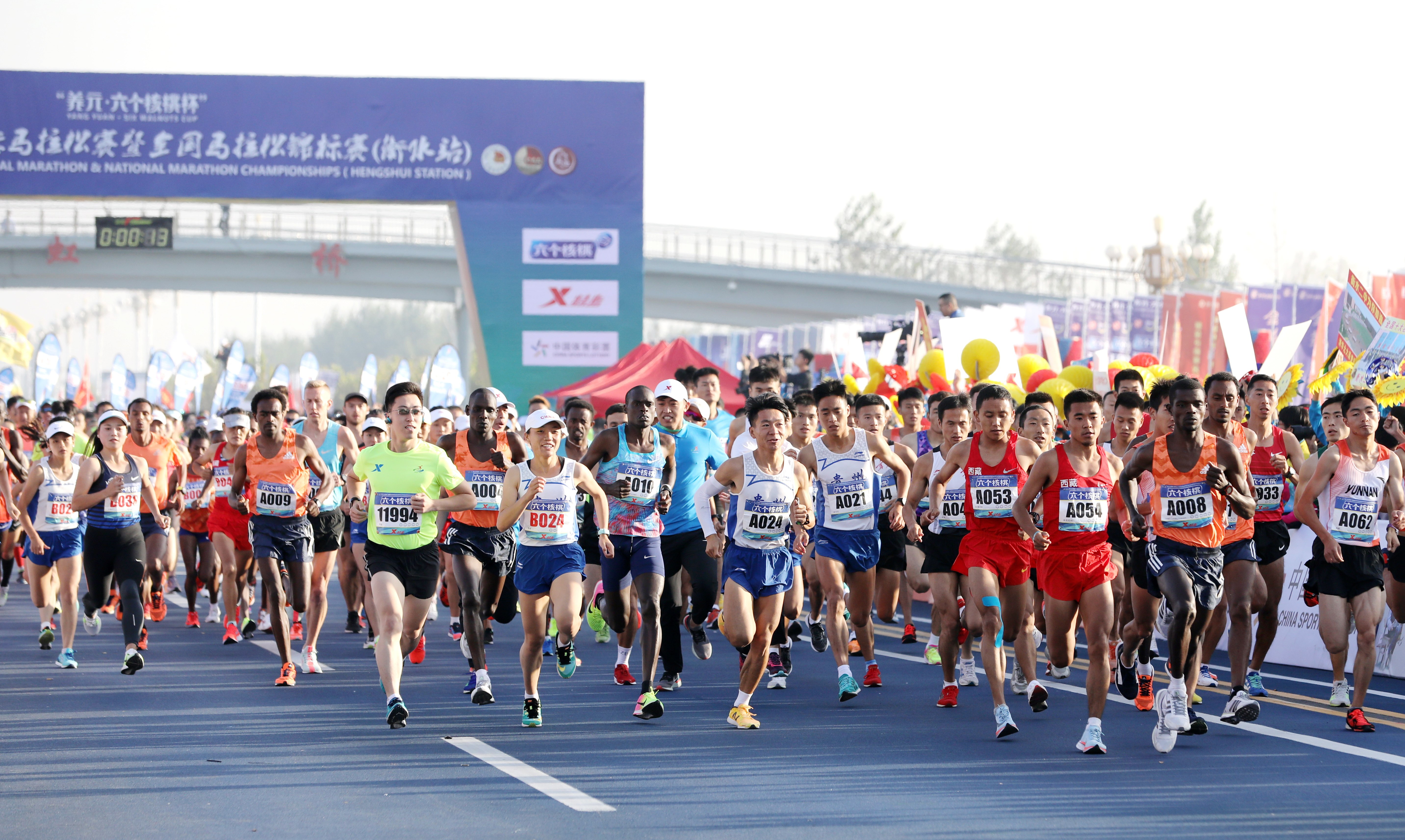马拉松——2018衡水湖国际马拉松开赛(4)