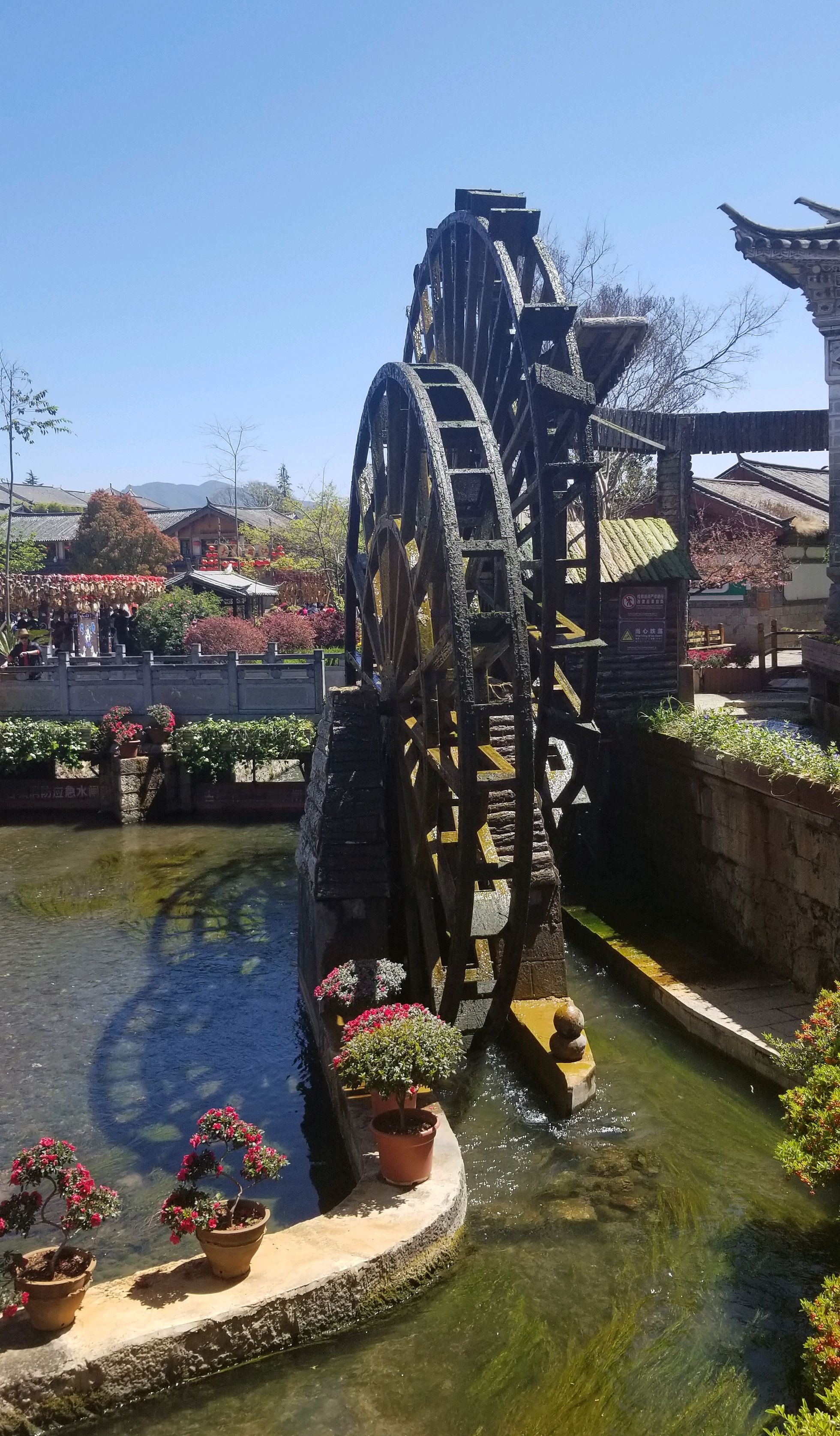 丽江古城旅行打卡,超多网红景点!